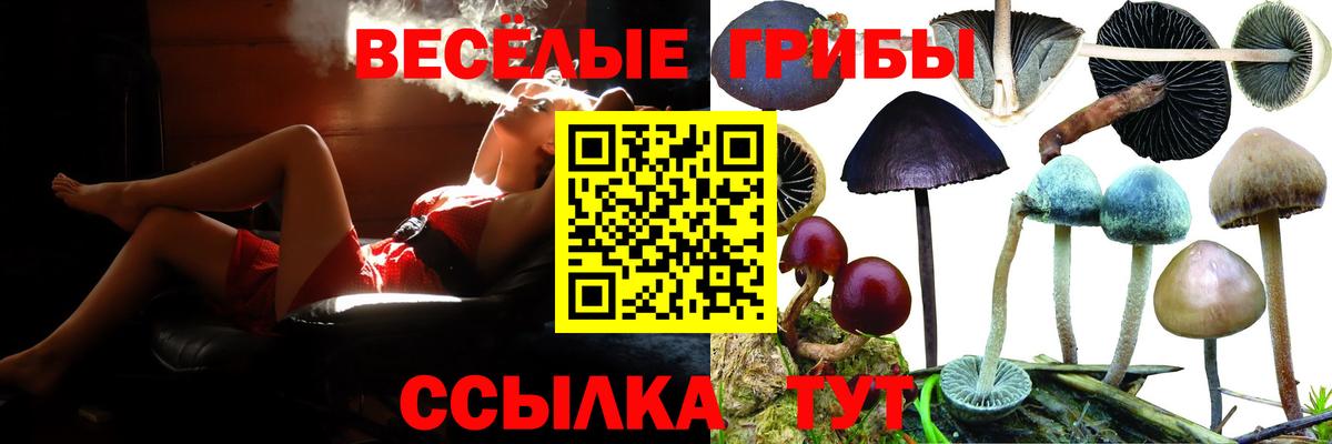 Галлюциногенные грибы прущие грибы  Вход с VPN  Белая Калитва 